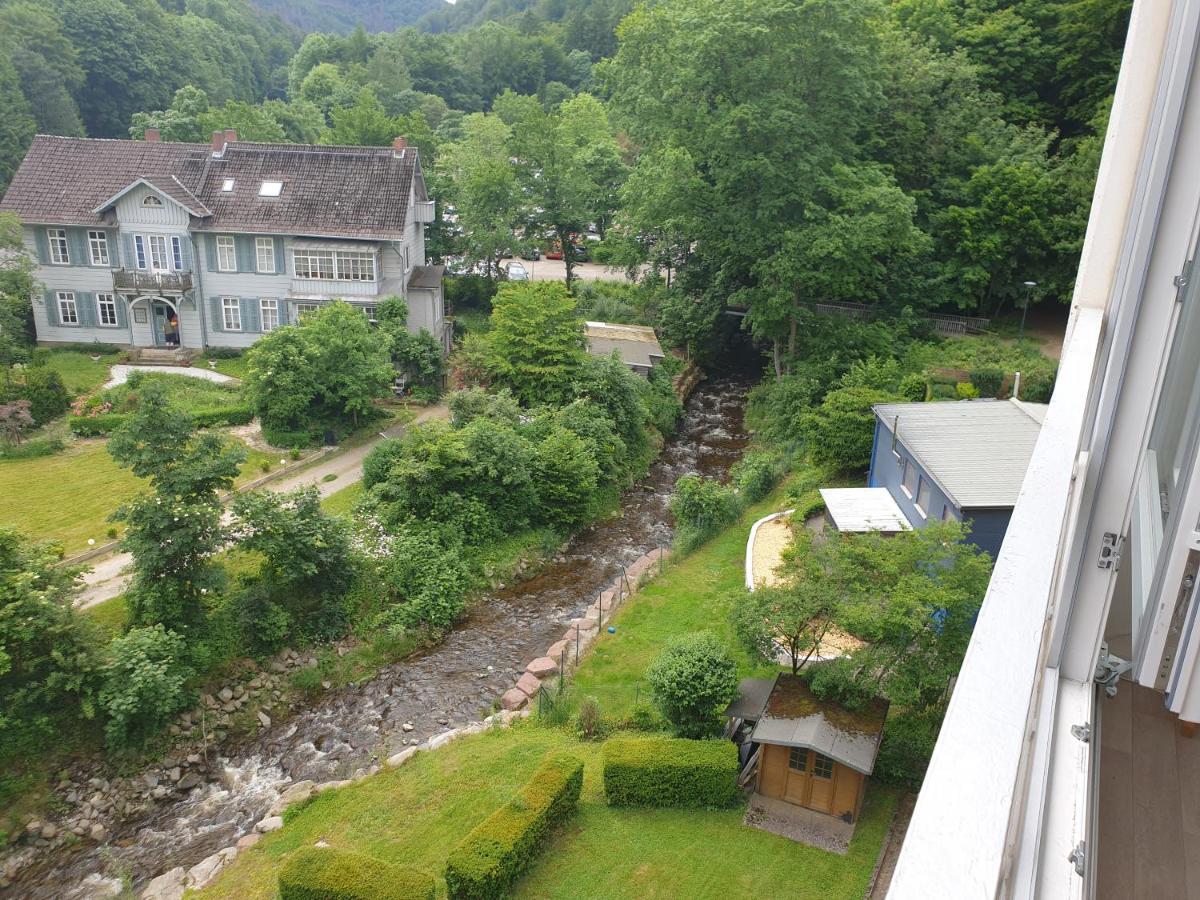 Apartz - Bad Harzburg - Apartment Mit Sauna In Idealer Lage Mit Bergblick Dış mekan fotoğraf